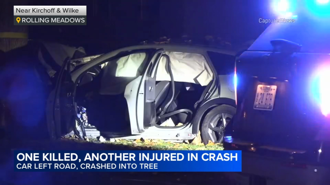 Driver killed, 1 other hurt after crashing into tree, Rolling Meadows police say
— ABC7 Chicago (WLS-TV)